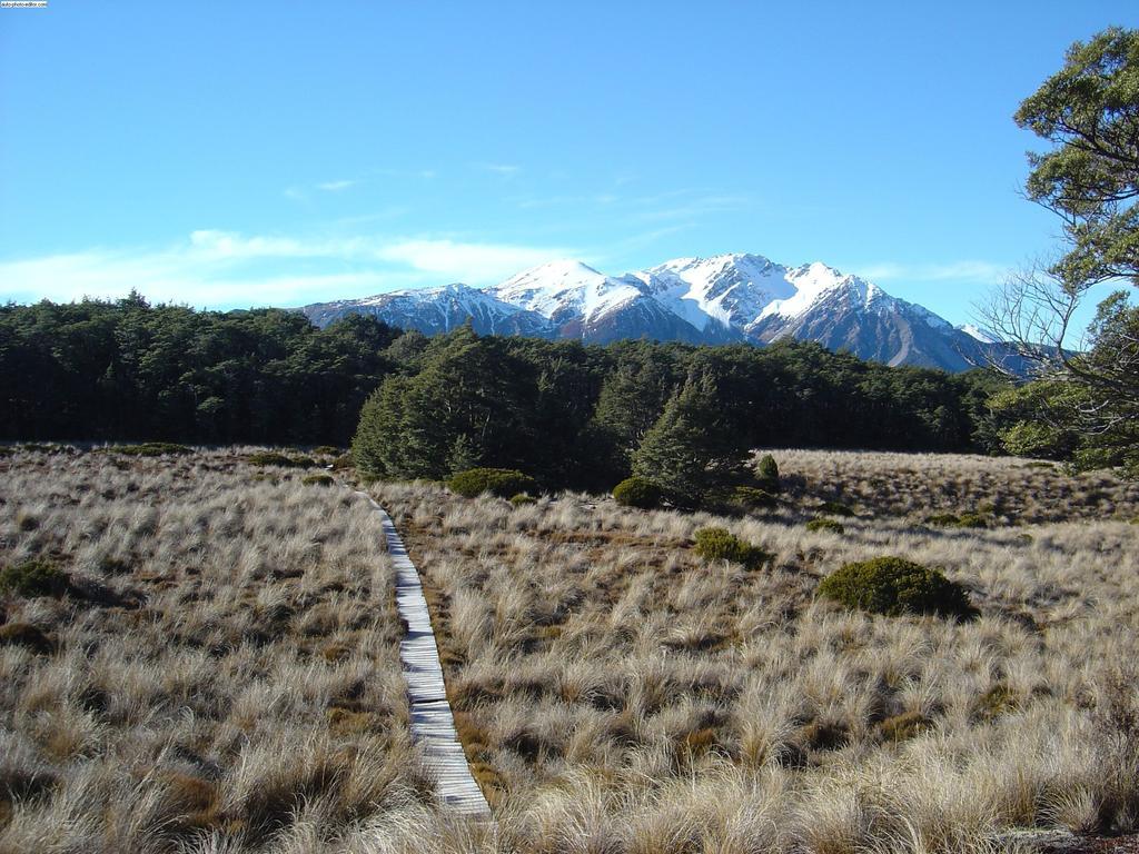 Arthur'S Pass Alpine Motel Bagian luar foto